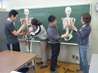 （写真）解剖模型を使った学習の様子